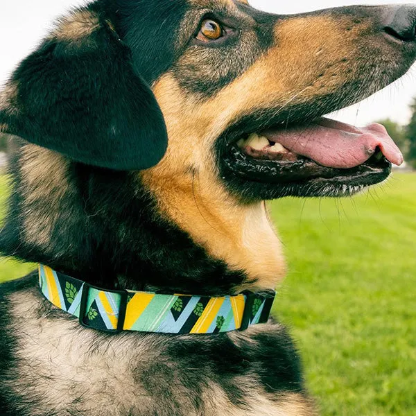 The Customizable Nylon Dog Collars