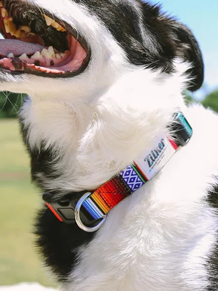 The Customizable Nylon Dog Collars