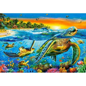 Turtle - Full Round Diamond - 50x40CM